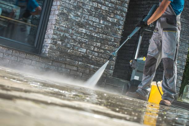 Best Pre-Holiday Cleaning  in Morton, IL