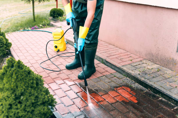 Best Driveway Pressure Washing  in Morton, IL