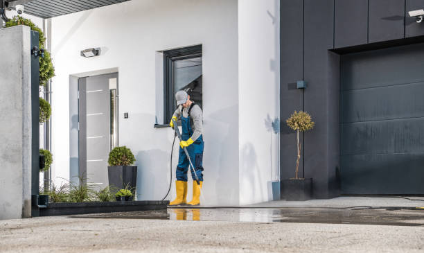 Best Solar Panel Cleaning  in Morton, IL