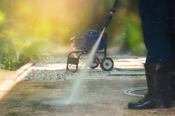 Best Paint Preparation  in Morton, IL